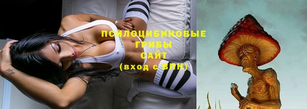 МДМА Бородино
