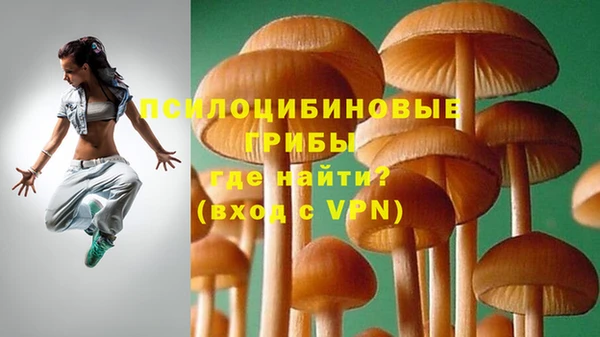 МДМА Бородино