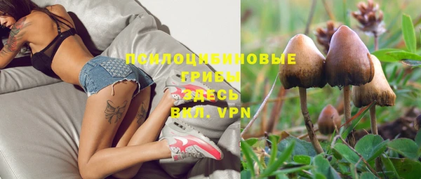 jwh Богданович